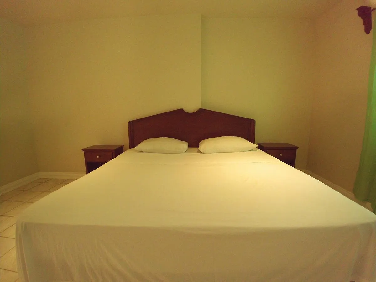 Pinneys Beach Hotel Nevis Charlestown 3*,  Saint Kitts and Nevis